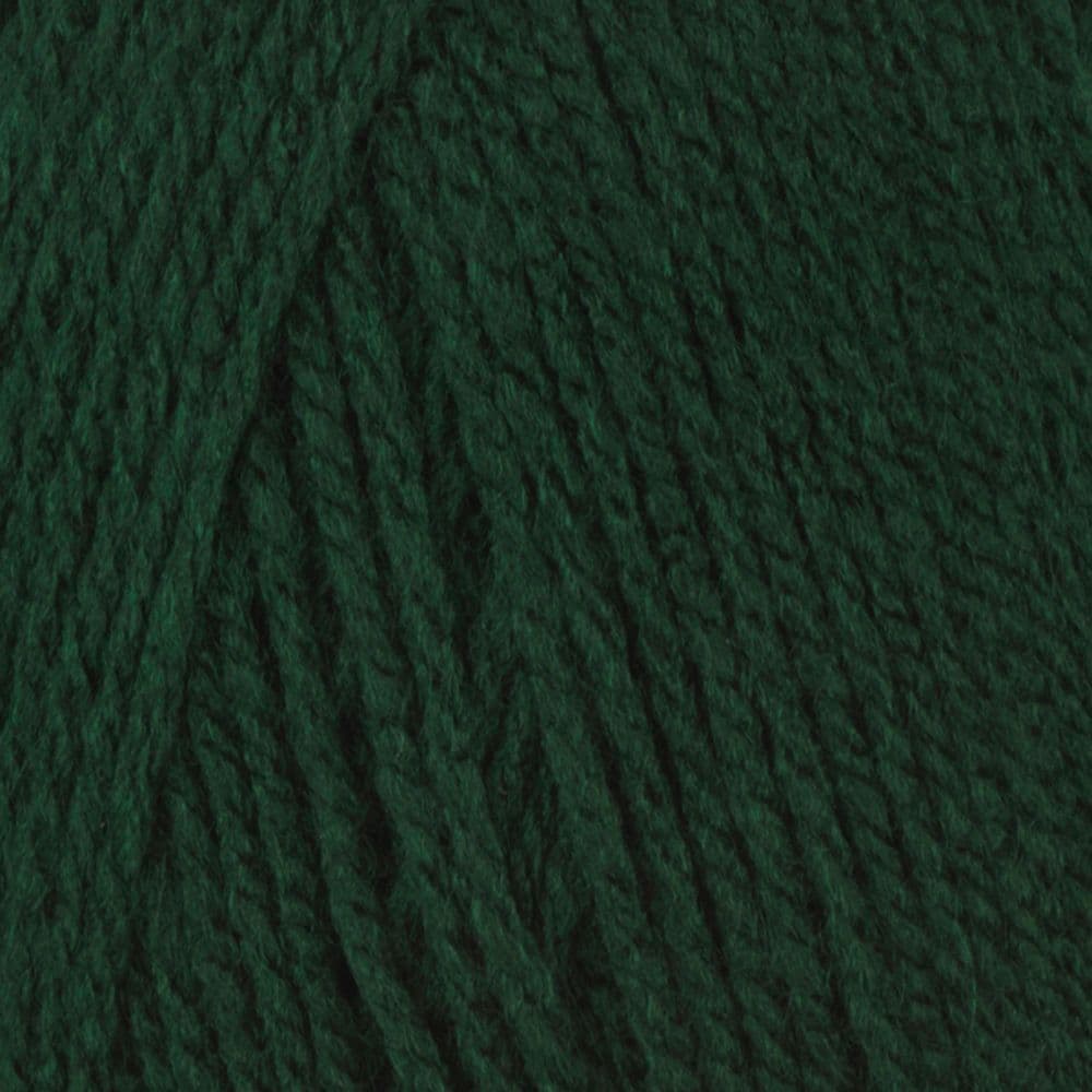 Robin DK Double Knit Yarn โ Forest Green (045) โ 100g Ball