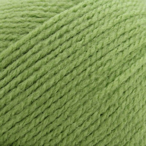 www.thewoolshop.net Robin - DK Double Knit Wool Yarn - 100g Ball - Lovat Green